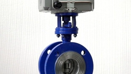 DN250 Pn20 Wcb Body SS304 Disc Eccentric Flange Butterfly Valve with Motor Drive